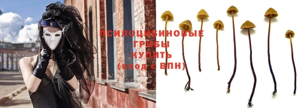спиды Алзамай